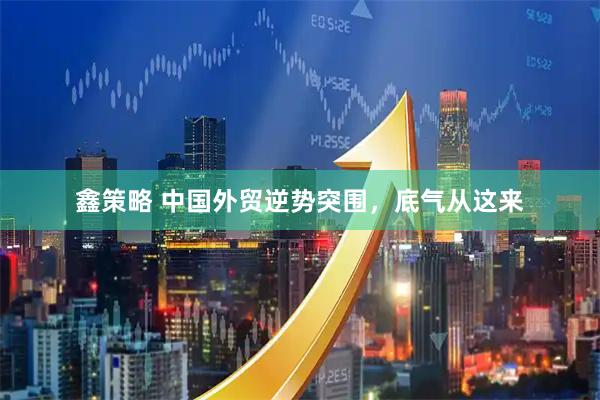 鑫策略 中国外贸逆势突围，底气从这来